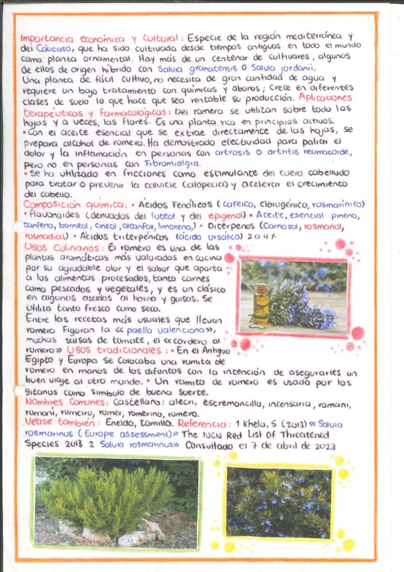 Quimica de los saberes ancestrales de mi Putumayo — page 10