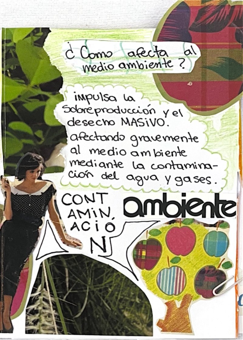 LA JERARQUIZACION DENTRO DE LA COMUNIDAD — page 5