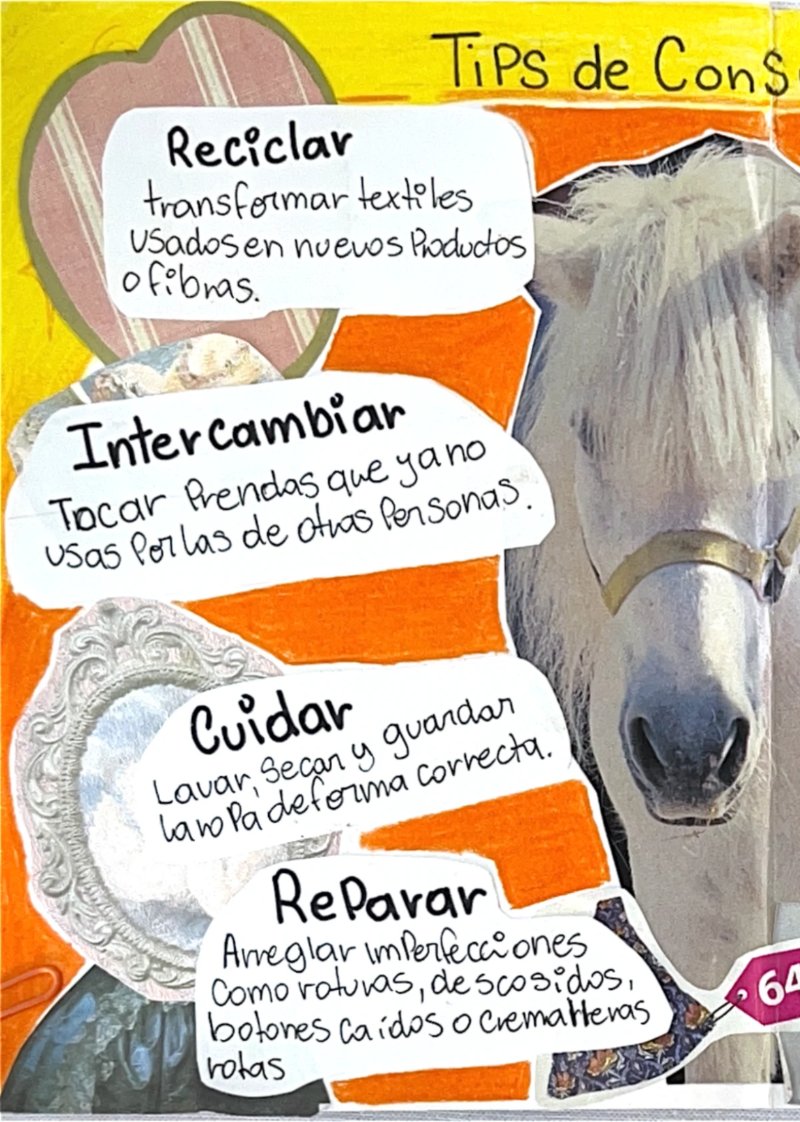LA JERARQUIZACION DENTRO DE LA COMUNIDAD — page 6