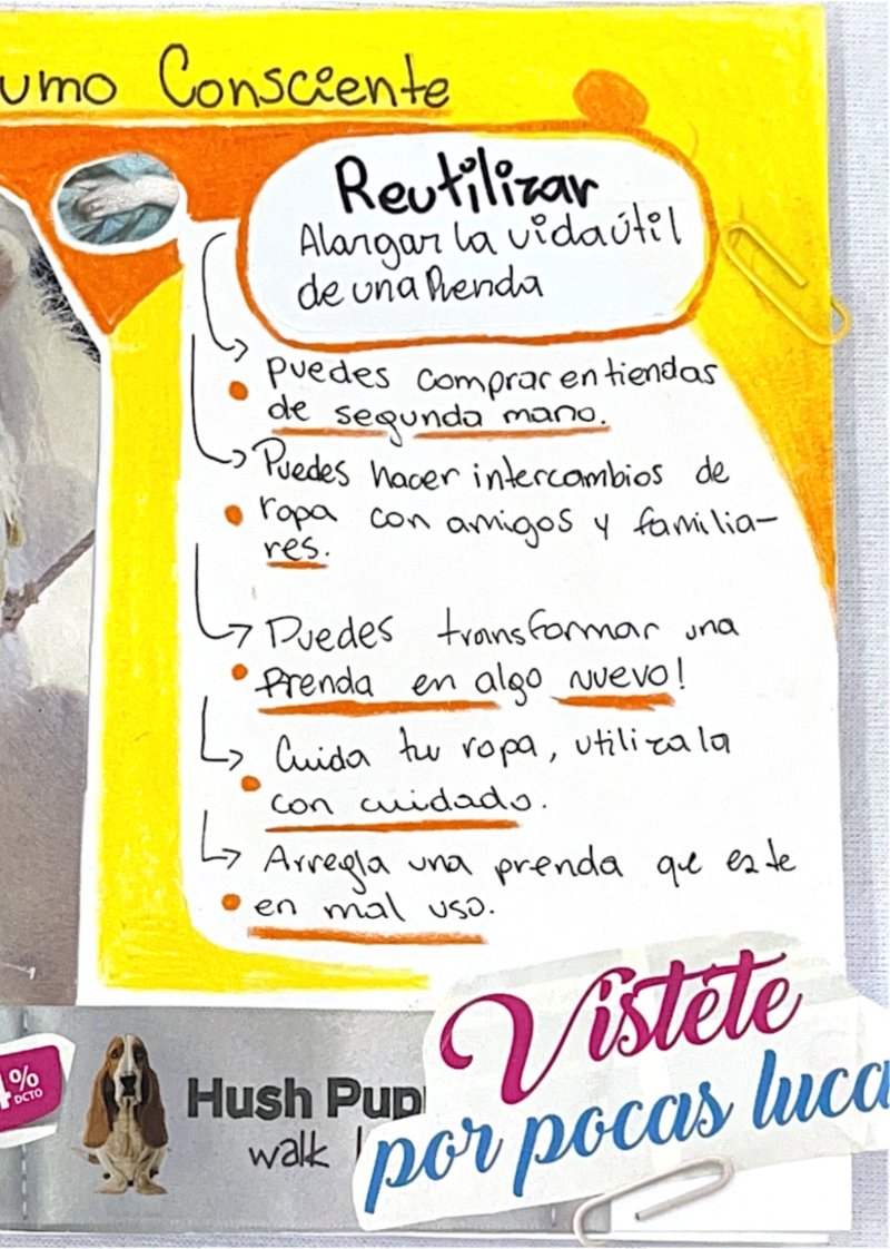 LA JERARQUIZACION DENTRO DE LA COMUNIDAD — page 7