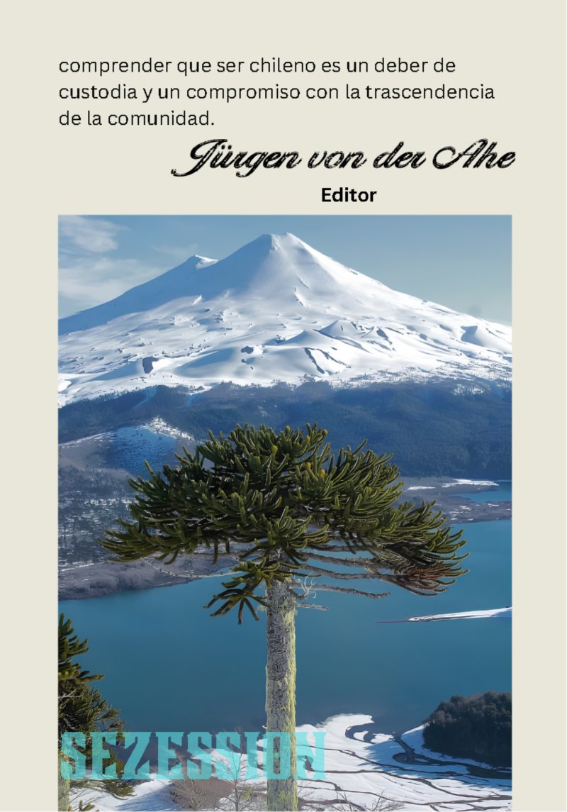 sezession especial buenos lectores n30 — page 6