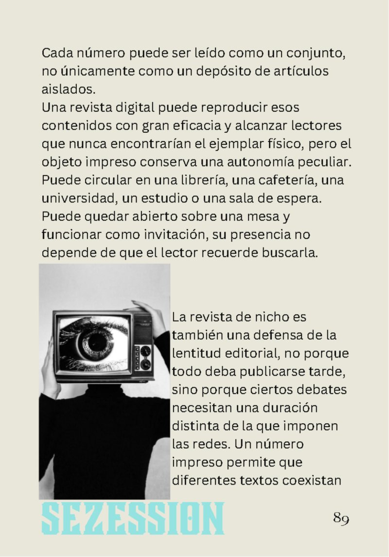 sezession especial buenos lectores n30 — page 89