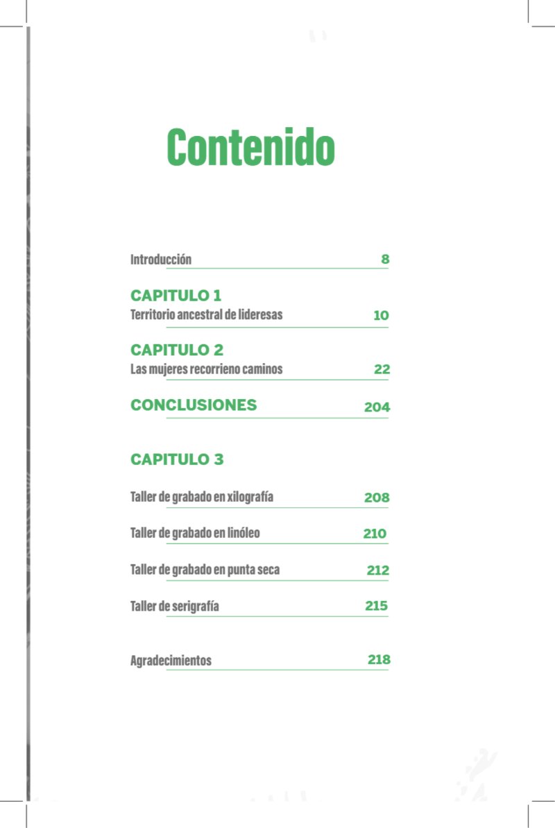 curvas caratulas LIBRO GRABARTE FINAL — page 5