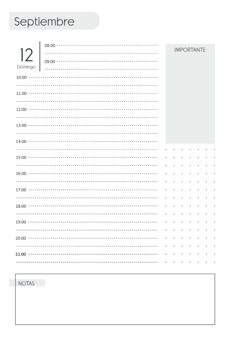 AGENDA DIARIA 2027 — page 288