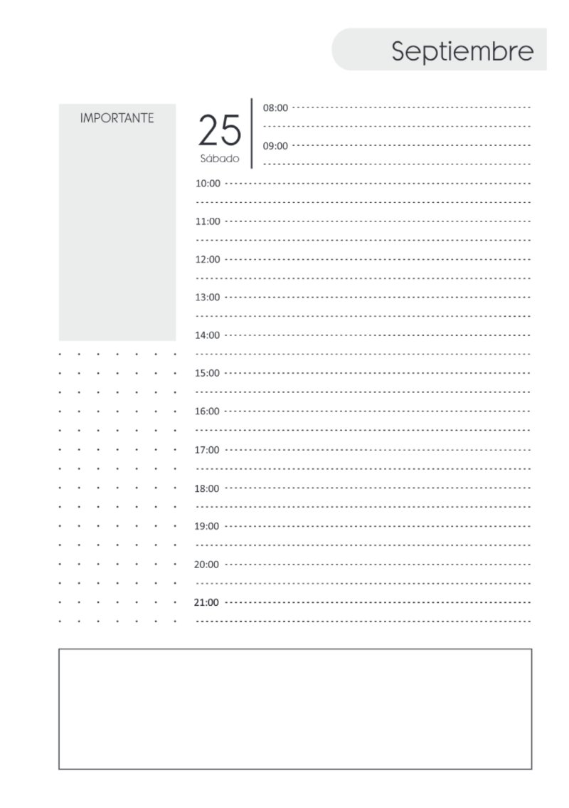 AGENDA DIARIA 2027 — page 301
