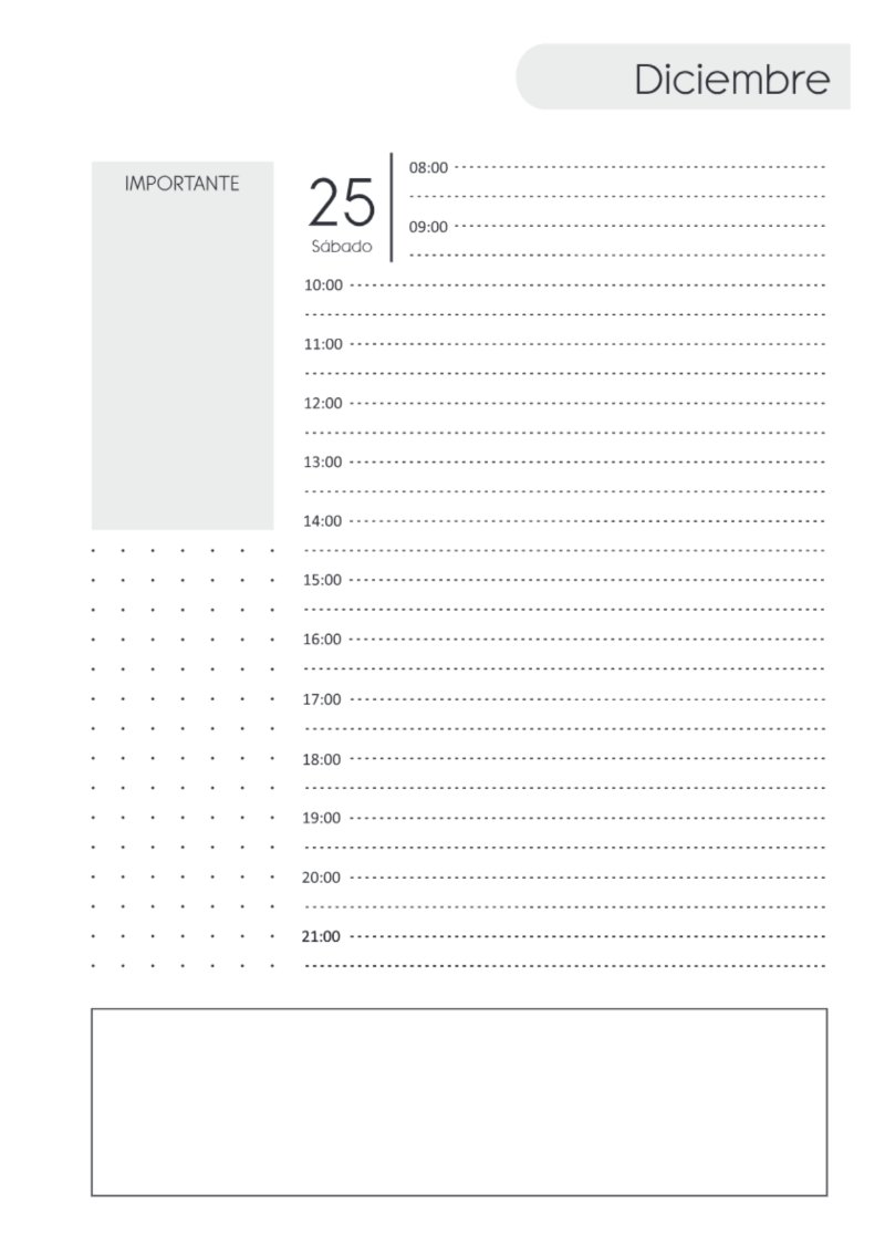AGENDA DIARIA 2027 — page 399