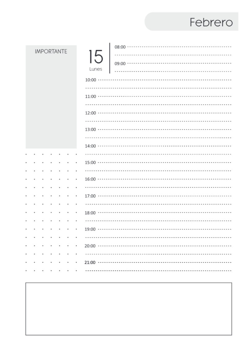 AGENDA DIARIA 2027 — page 61