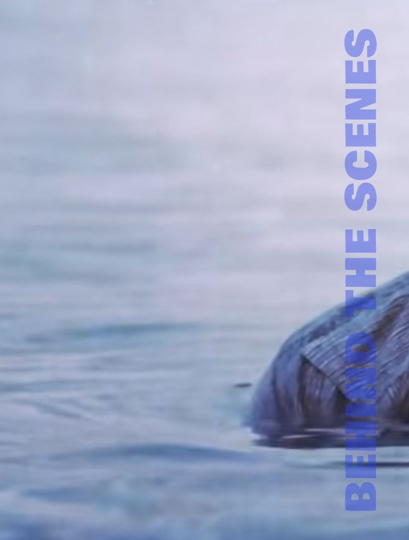 Tyler Shaw - Back To Me (Single) — page 5