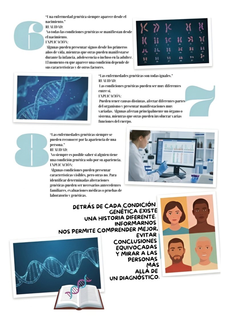 Revista de "Genética, Diversidad y Fraternidad" — page 11