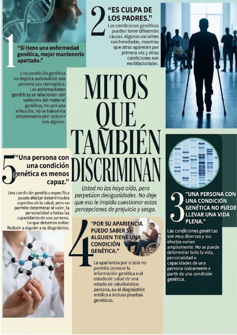 Revista de "Genética, Diversidad y Fraternidad" — page 12