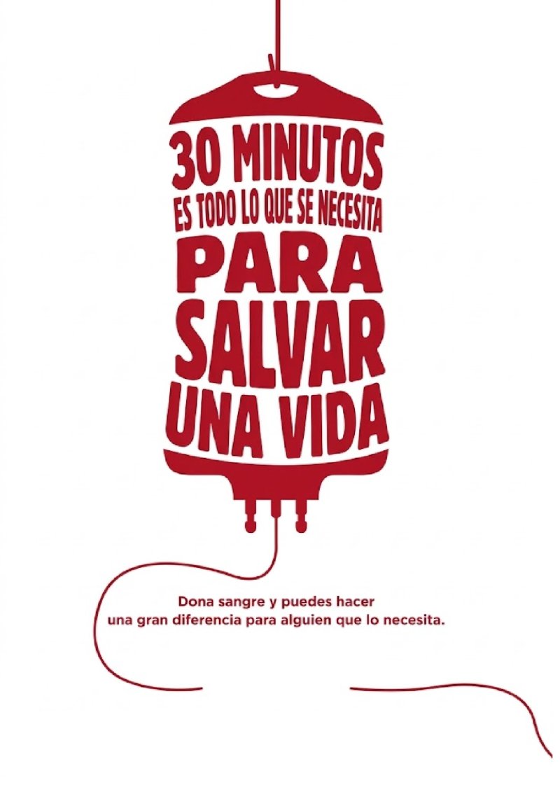 Revista de "Genética, Diversidad y Fraternidad" — page 13