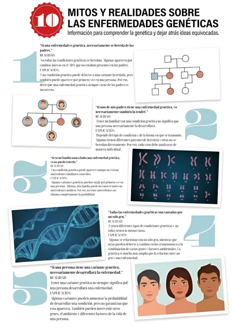 Revista de "Genética, Diversidad y Fraternidad" — page 10
