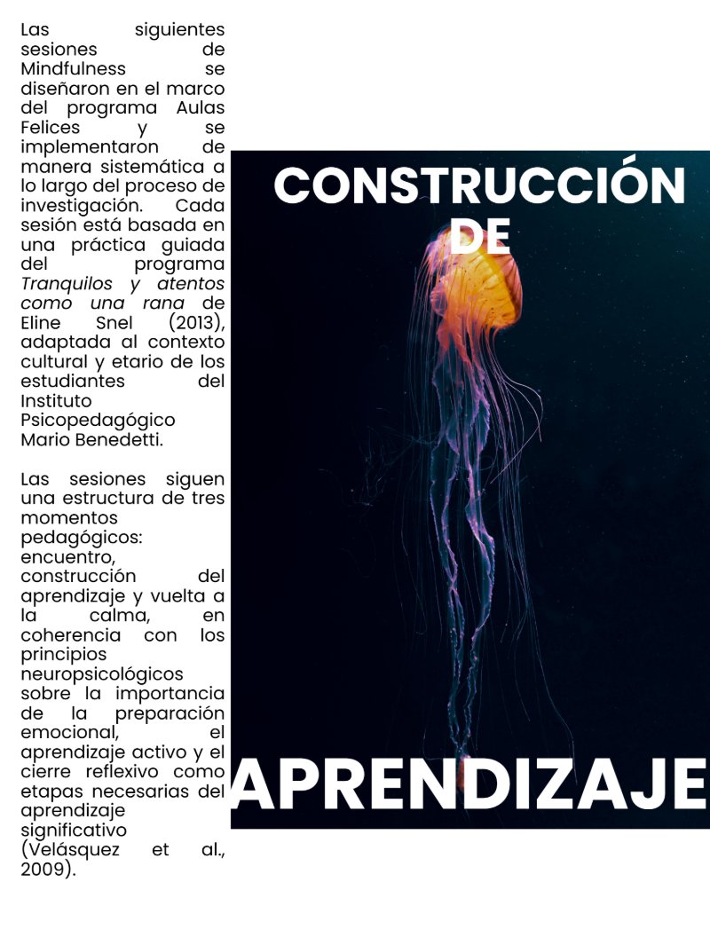 REVISTA ESTRATEGIA PEDAGÓGICA — page 3