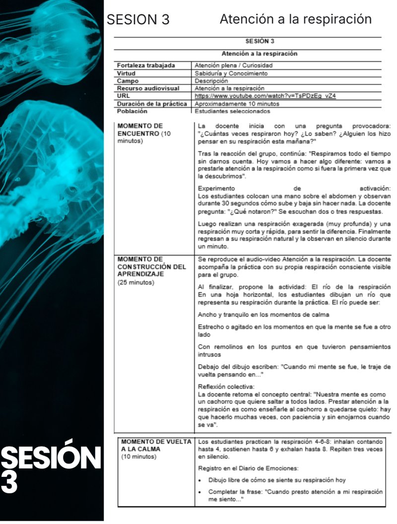 REVISTA ESTRATEGIA PEDAGÓGICA — page 10