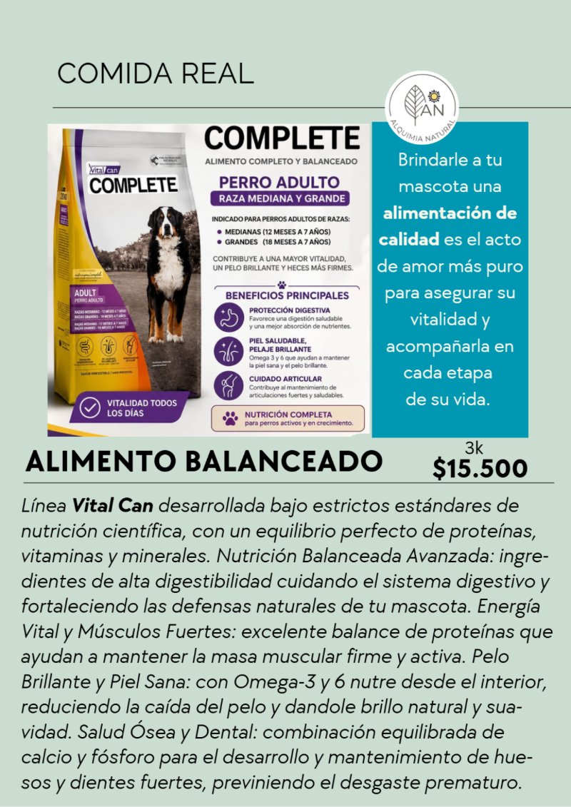 Catálogo AN Comida Real — page 28