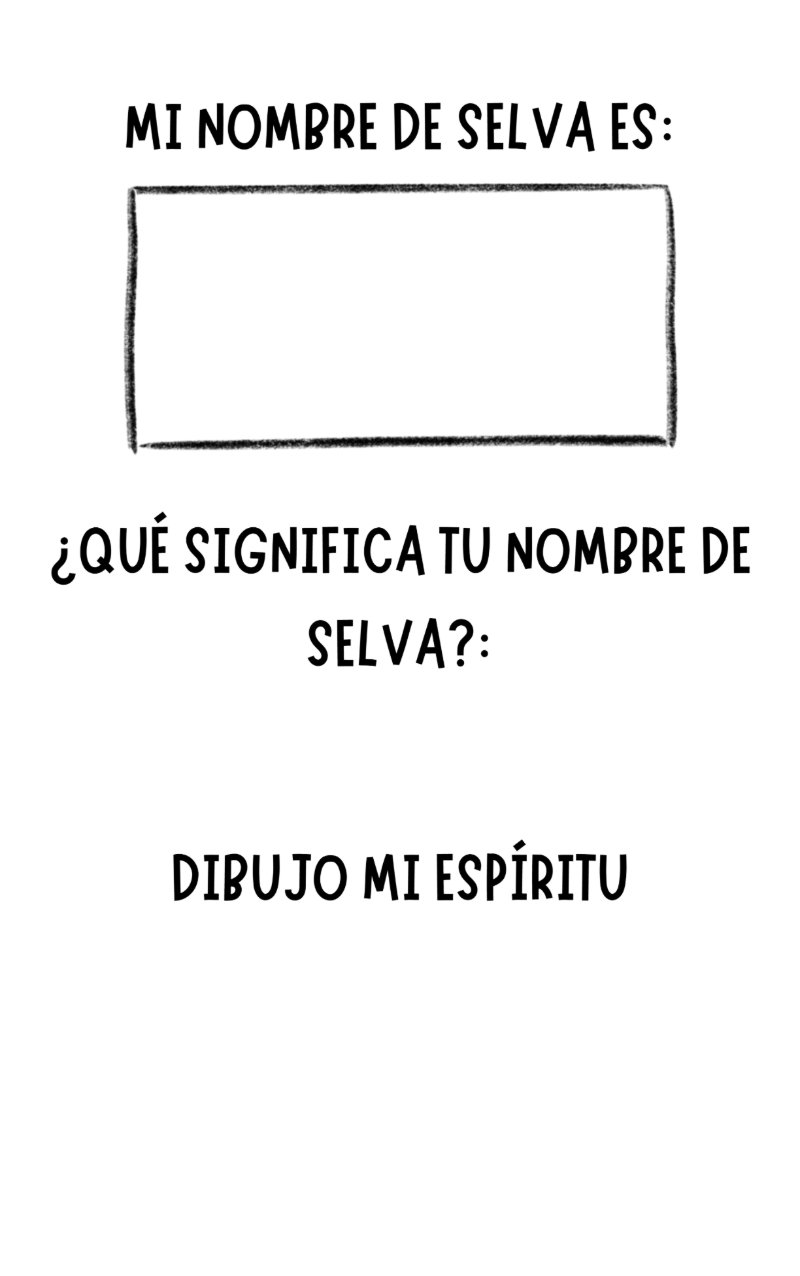 CARNET COTAXTLA — page 2