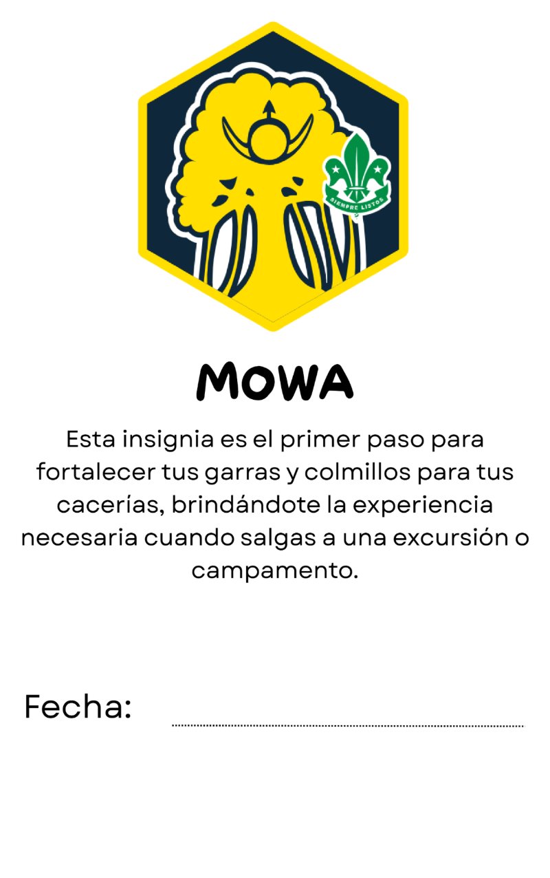 CARNET COTAXTLA — page 16