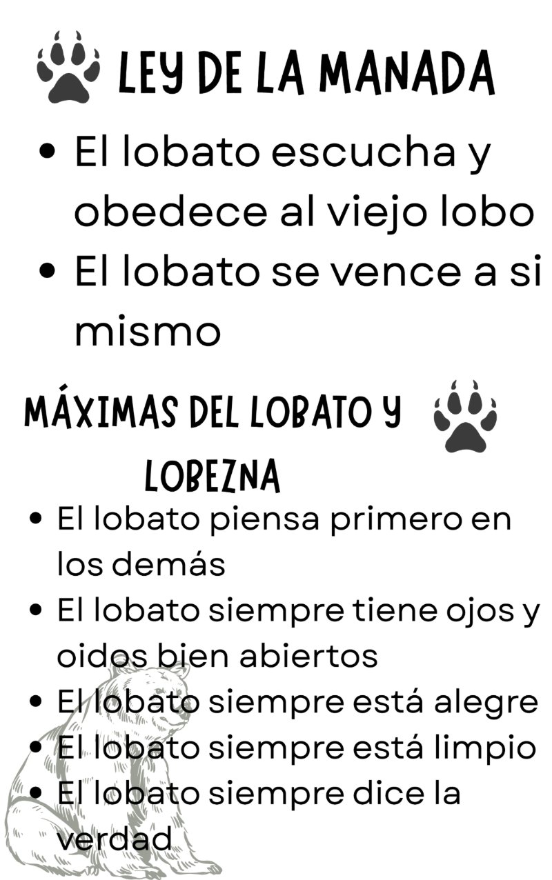 CARNET COTAXTLA — page 5