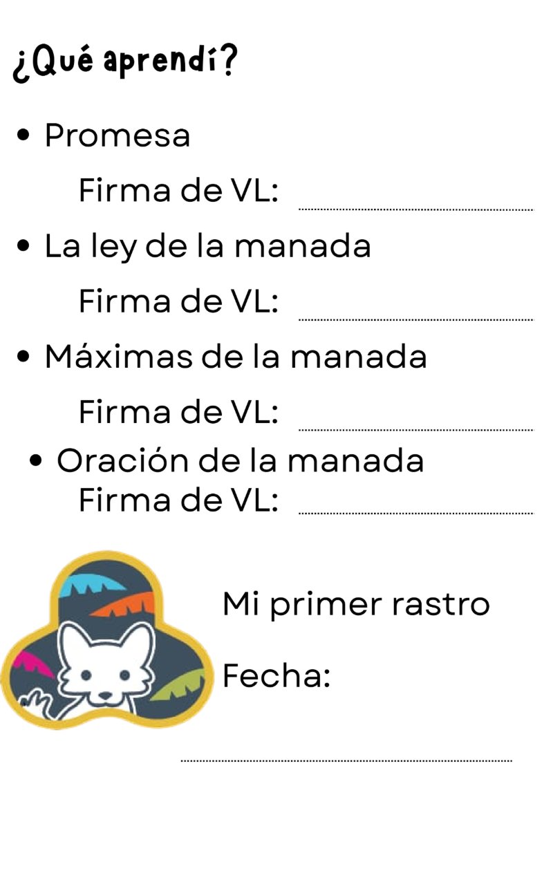 CARNET COTAXTLA — page 6