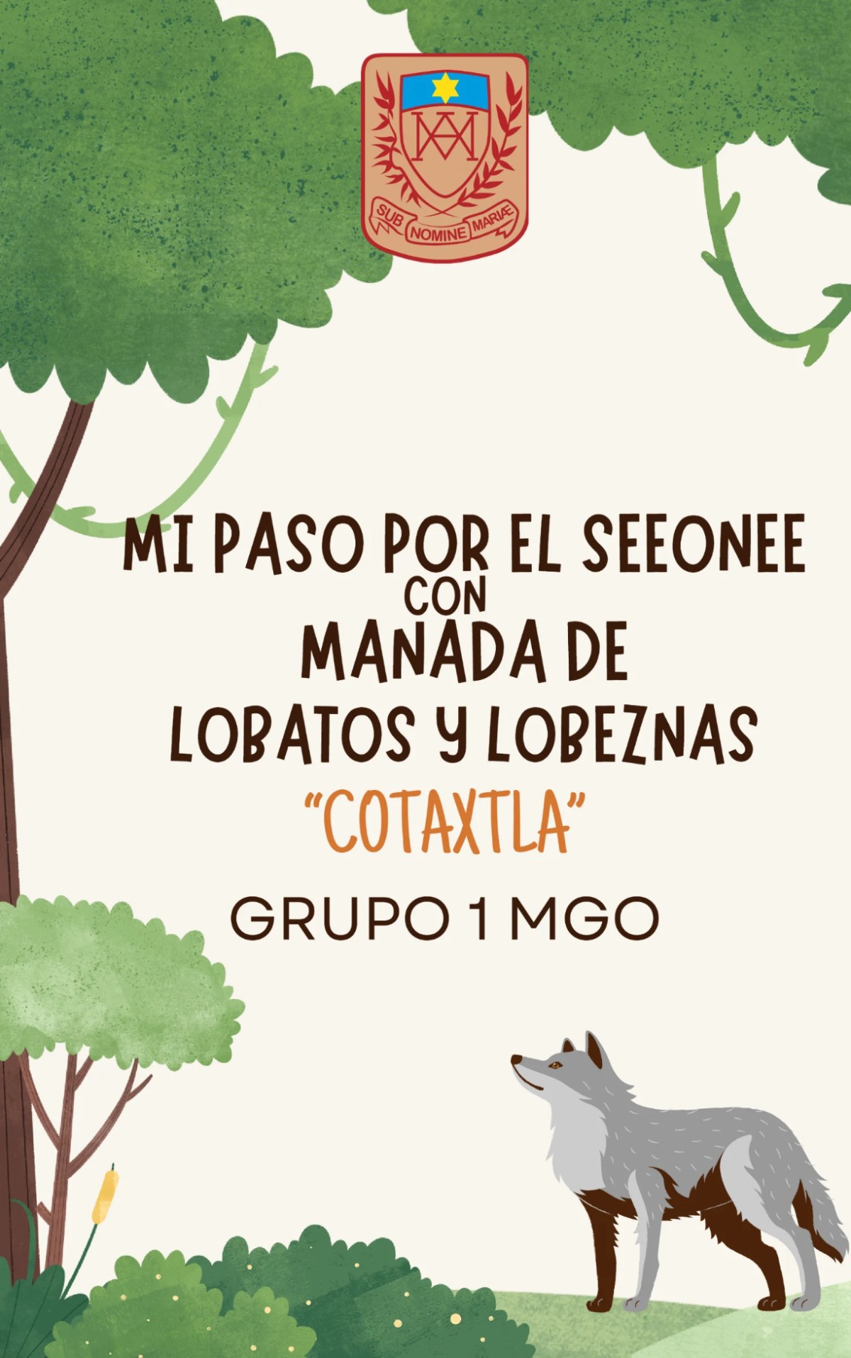 CARNET COTAXTLA