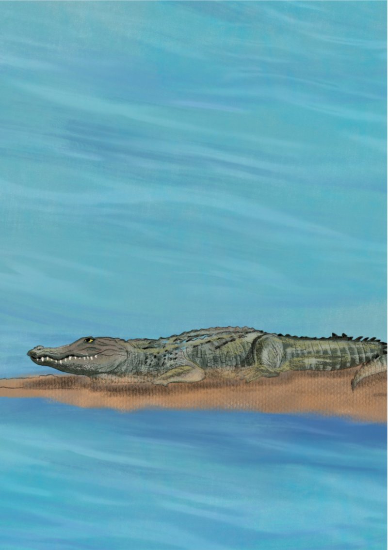 Boatman A5 Book 36 page Final — page 13