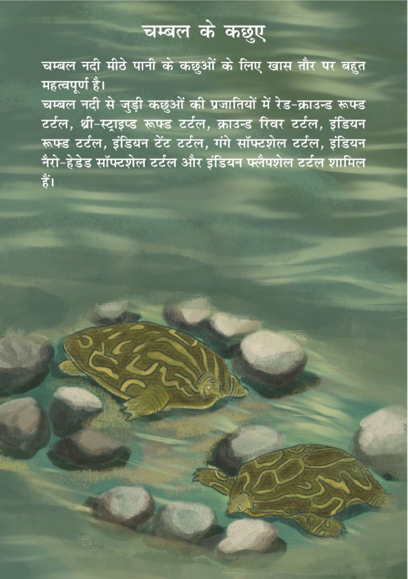 Boatman A5 Book 36 page Final — page 14