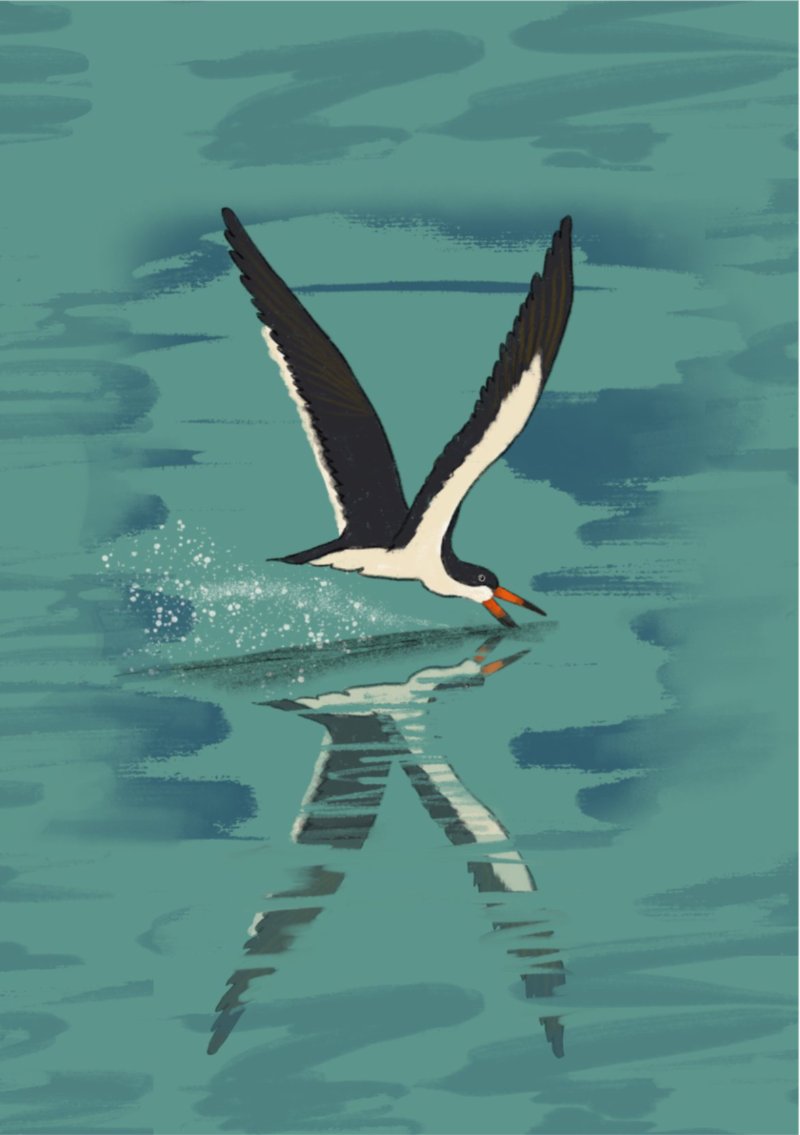Boatman A5 Book 36 page Final — page 17