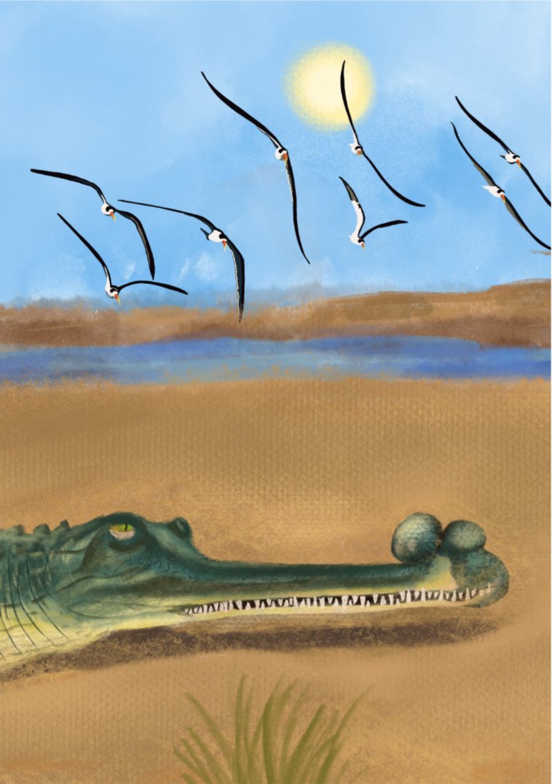 Boatman A5 Book 36 page Final — page 8