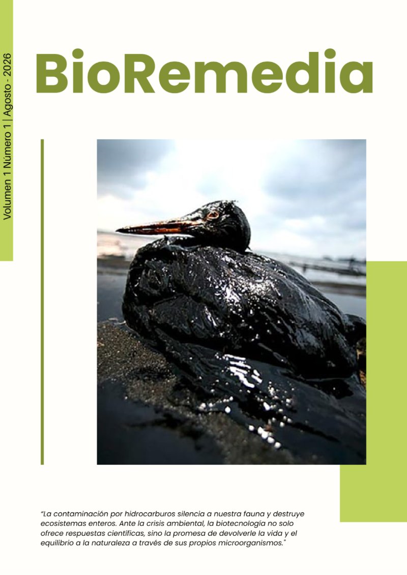 BioRemedia-Revista (2) — page 1