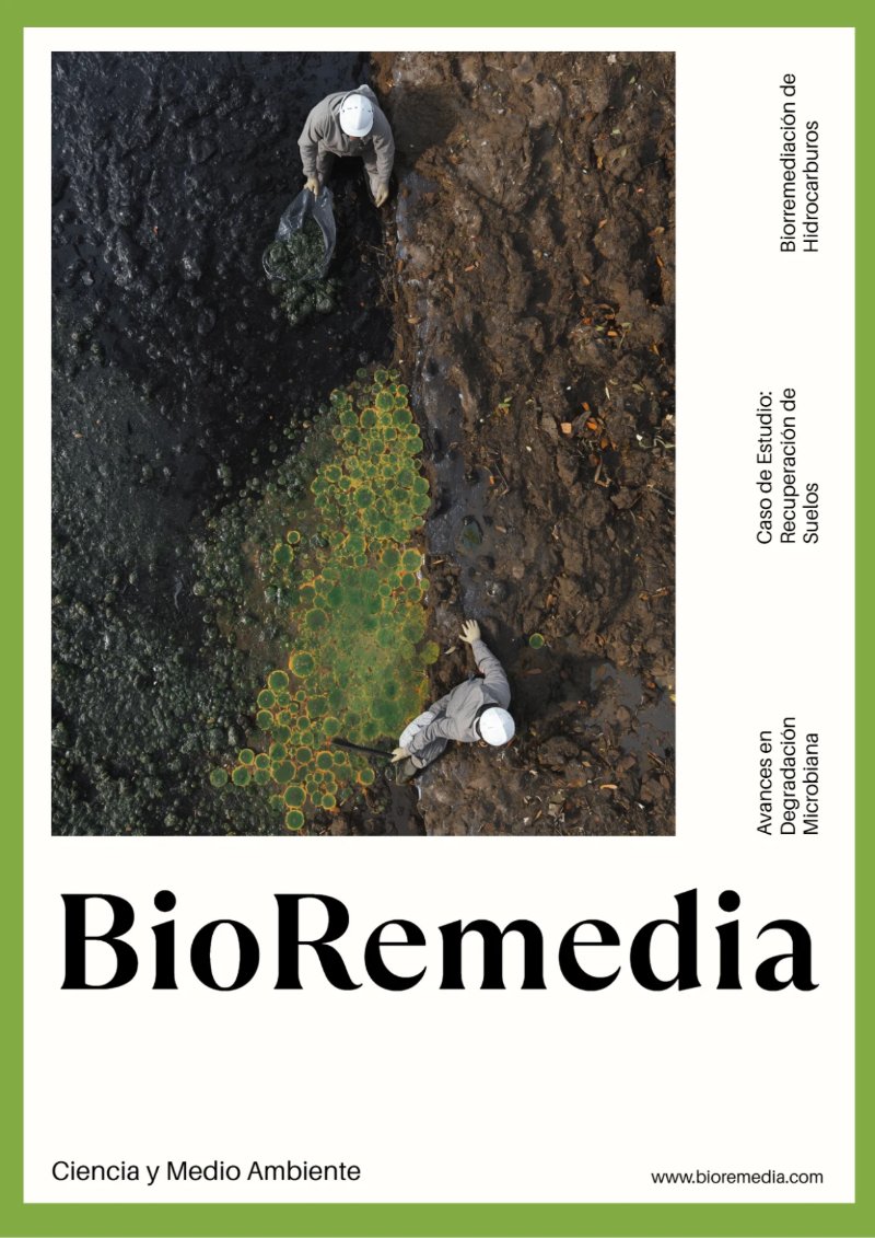 BioRemedia-Revista (2) — page 2