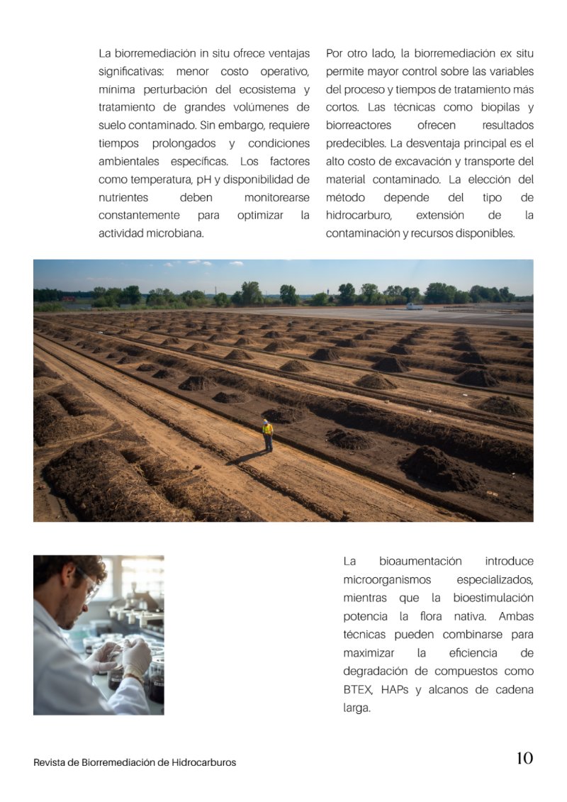 BioRemedia-Revista (2) — page 11