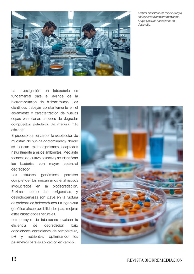 BioRemedia-Revista (2) — page 14