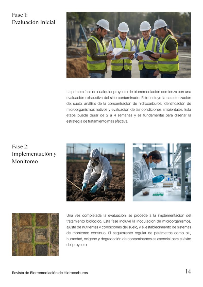 BioRemedia-Revista (2) — page 15