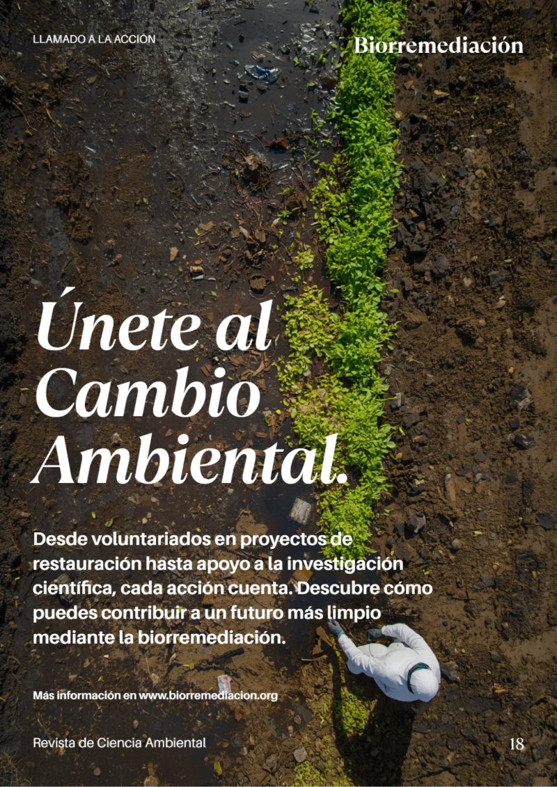 BioRemedia-Revista (2) — page 20