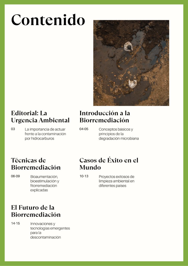 BioRemedia-Revista (2) — page 3