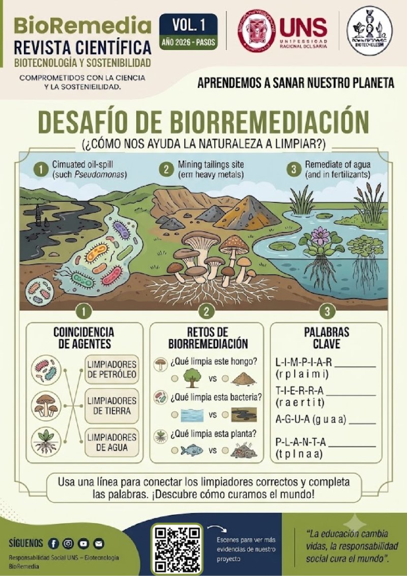 BioRemedia-Revista (2) — page 24