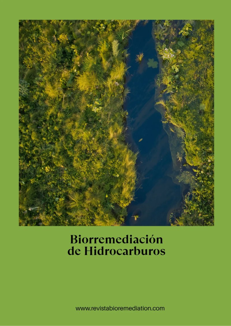 BioRemedia-Revista (2) — page 28