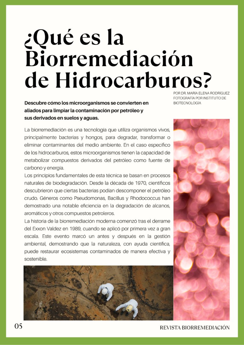 BioRemedia-Revista (2) — page 6