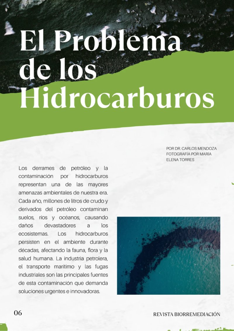 BioRemedia-Revista (2) — page 7
