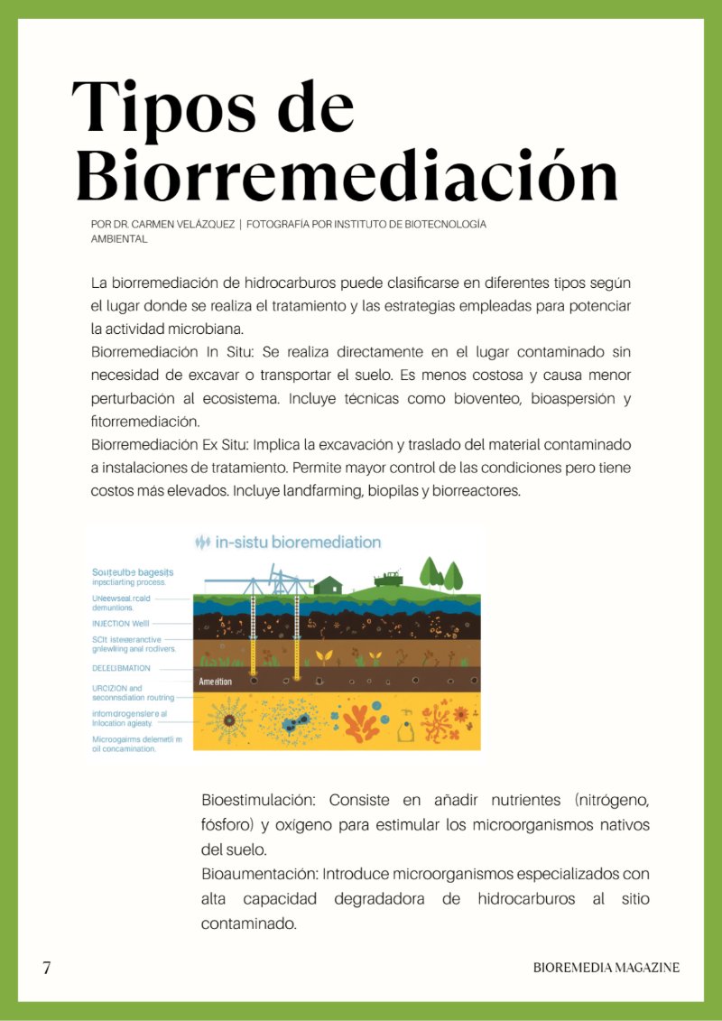 BioRemedia-Revista (2) — page 8