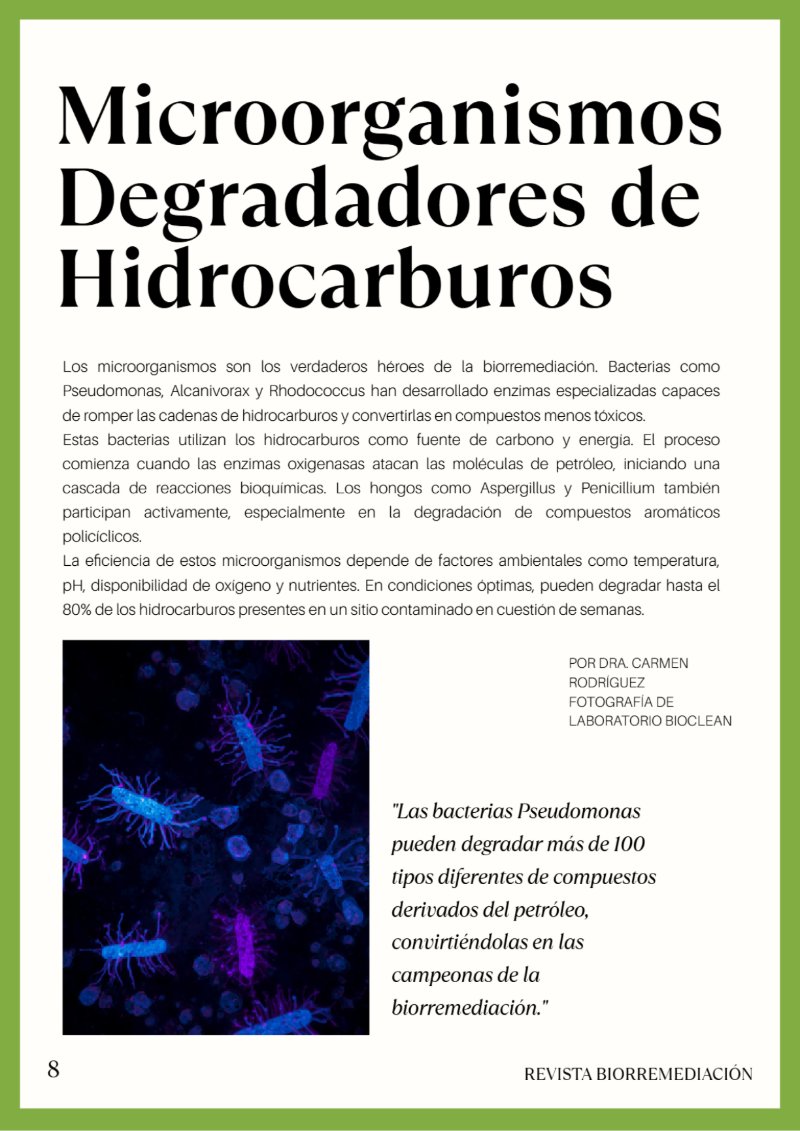 BioRemedia-Revista (2) — page 9
