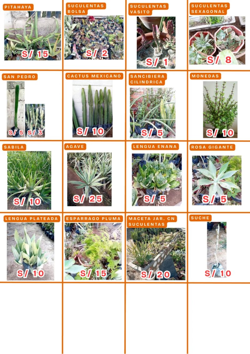CATALOGO DE PRODUCTOS AGOSTO P1 — page 2