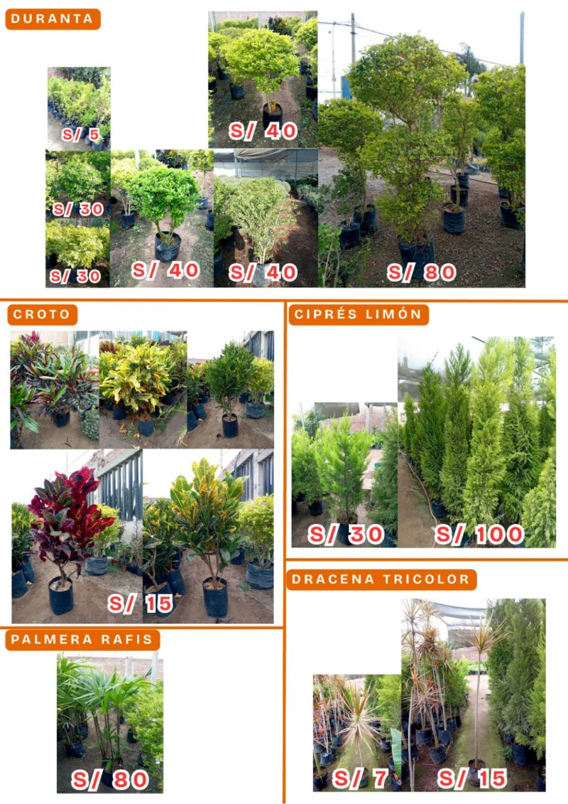 CATALOGO DE PRODUCTOS AGOSTO P1 — page 3