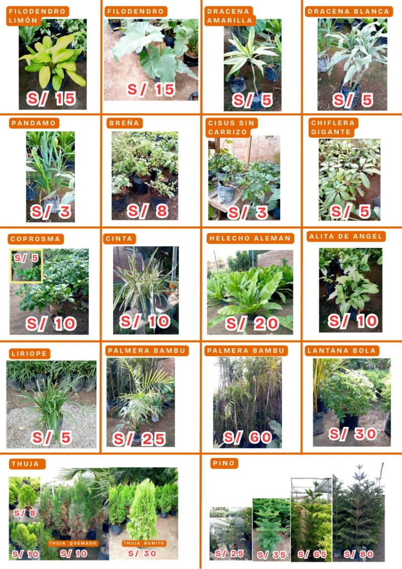 CATALOGO DE PRODUCTOS AGOSTO P1 — page 4