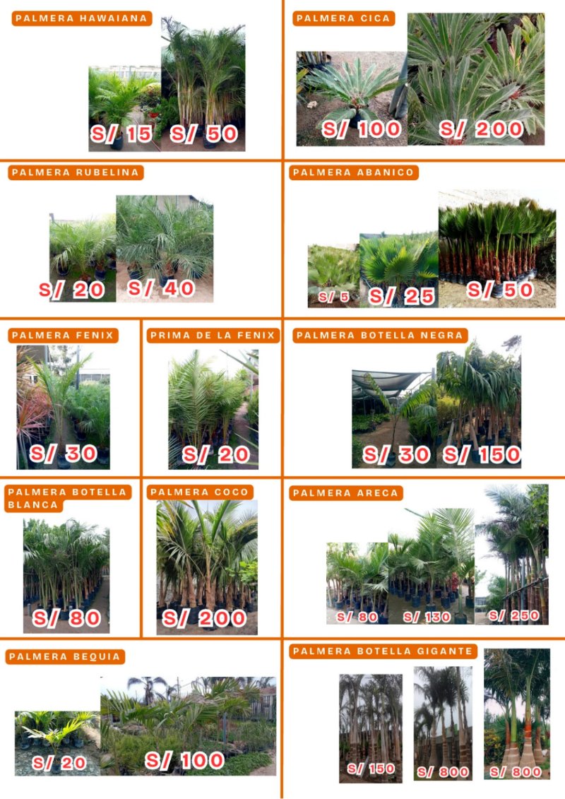 CATALOGO DE PRODUCTOS AGOSTO P1 — page 5