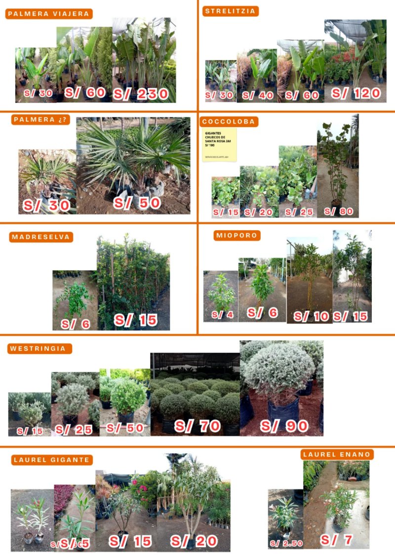 CATALOGO DE PRODUCTOS AGOSTO P1 — page 6