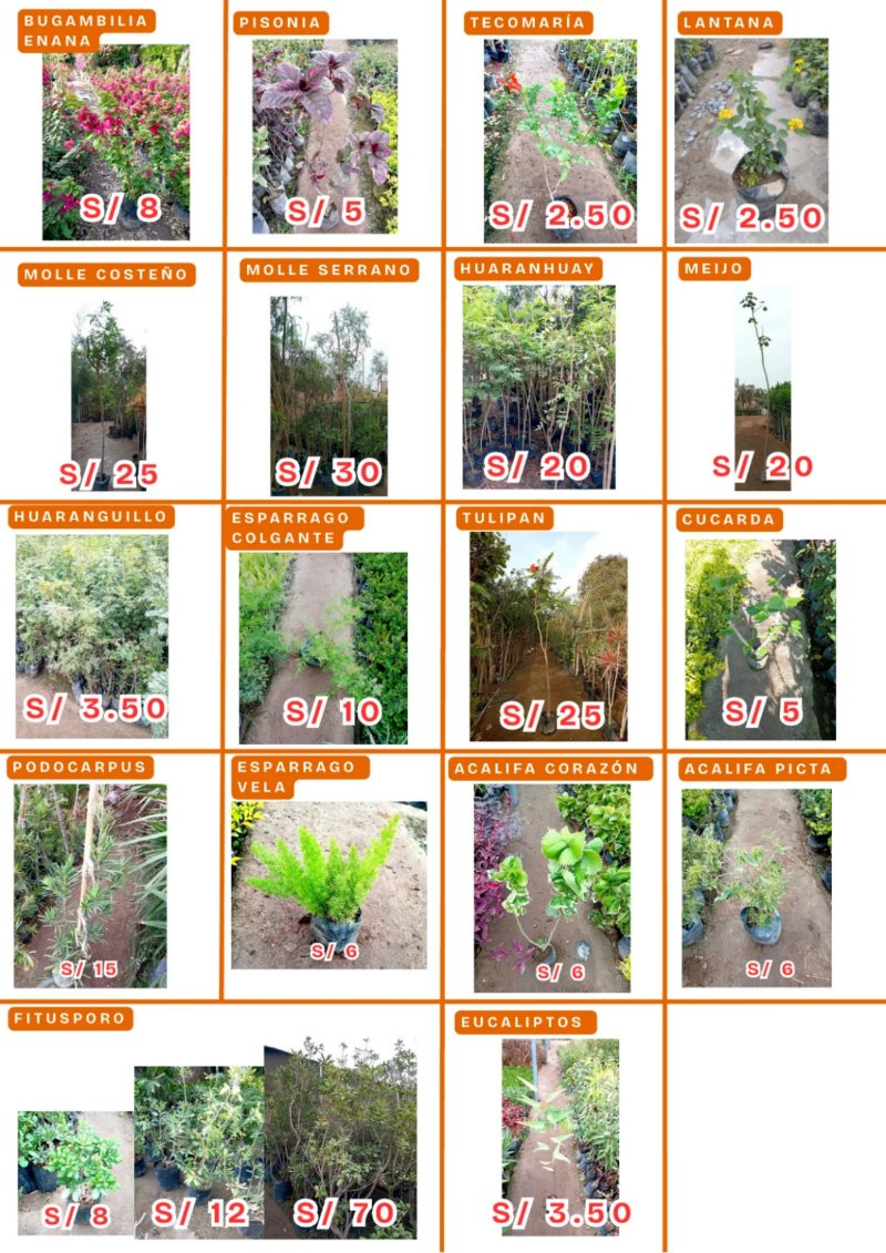 CATALOGO DE PRODUCTOS AGOSTO P1 — page 7