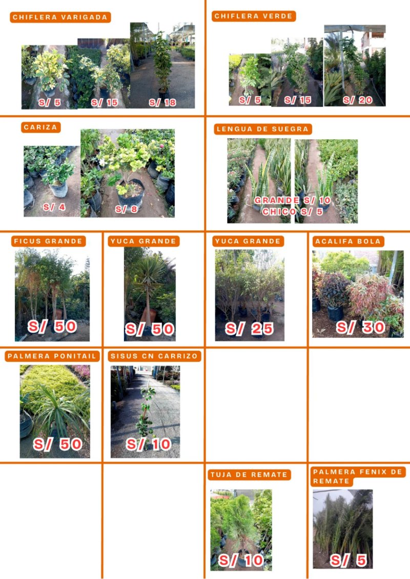 CATALOGO DE PRODUCTOS AGOSTO P1 — page 8