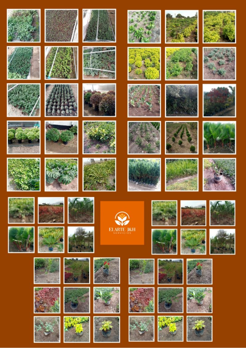 CATALOGO DE PRODUCTOS AGOSTO P1 — page 10