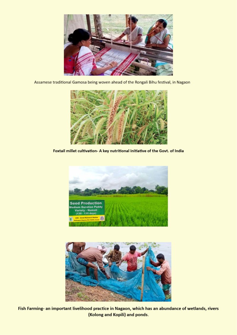 Nagaon e book final copy — page 9
